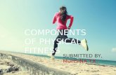 Components Physical Fitness