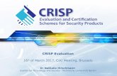 CRISP evaluation using the STEFi approach