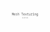 Mesh texturing