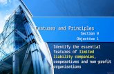 Features of limited liability companies