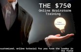The $750 Online Brainstorm Training