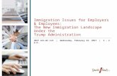 Immigration Issues for Employers & Employees: The New Immigration Landscape Under the Trump Administration