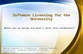 Software licensing update 12 10-08