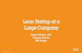 Lean Startup at a Large Company: How Design Thinking is Transforming Product Development at IBM (Greger Ottosson Product Stream)