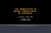 The Eradication of Bovine Tuberculosis In Wisconsin