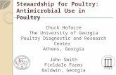 Dr. Chuck Hofacre - Antibiotic Stewardship for Poultry