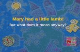 Mary had a little lamb!