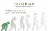 From Stoneage to Aagile