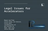 InBIA Slides - Legal Issues for Accelerator