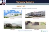 CIC Company Overview.ppt 201607