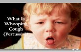 What is whooping cough (pertussis)