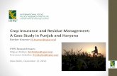 IFPRI-Linking Insurance to paddy residue management-Berber Kramer
