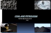 Coal & Petroleum PPT