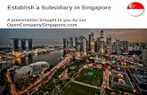 Establish a Subsidiary in Singapore