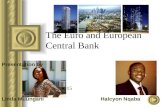 The euro and European Central Bank