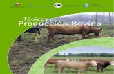 Topicos de produccion bovina