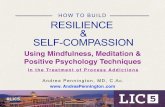 Mindfulness Meditation & Positive Psychology Practices for Stress Reduction, Resilience & Self-Compassion