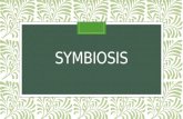 Symbiosis Updated 2