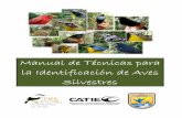 Manual de Técnicas para la Identificación de Aves Silvestres