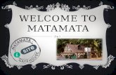 Welcome to matamata