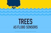 Trees as flood sensors