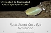 Facts about cat’s eye gemstone