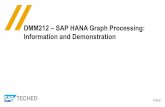 Dmm212 – Sap Hana  Graph Processing