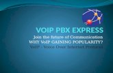 EXPLAIN IP PBX AND HOW IT’S SO HELPFUL IN BUSINESS