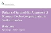 Design and Sustainability Assessment of Bioenergy Double Cropping System in Southern Sweden