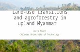 Land-use transitions and agroforestry in upland Myanmar