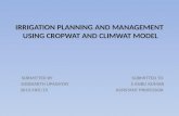 Irrigation planning with the help of cropwat 8.0