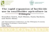 The rapid expansion of herbicide use in smallholder agriculture in Ethiopia