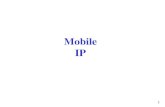12. mobile ip