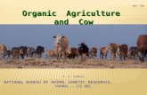 Organic agri and cow bhopal 2009