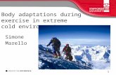 Body adaptations during exercise in extreme cold environment 1 1(1)