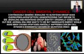 Cancer cell i̇mmortal dynami̇cs photos  13.