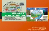 Module 4, ecosystem life energy