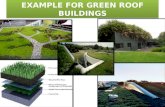 Example for green roof buildings