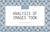 Analysis of images took