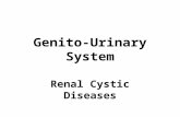 Diagnostic Imaging of Renal Cystic Diseases