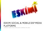 Eskimi and Eskimi DSP for Nigeria w rich media