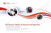 DLP Systems: Models, Architecture and Algorithms