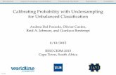 Calibrating Probability with Undersampling for Unbalanced Classification