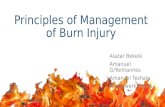 Classification, Principles, assessment and  management of burn