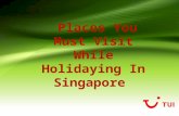 4 Places You Must Visit While Holidaying In Singapore