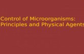 Microbiology Bio 127 Control of Microorganisms: Principles and Physical Agents