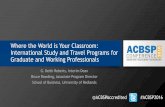 Where the World is Your Classroom: International Study and Travel Programs