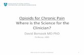 David Borsook, "Opioids for Chronic Pain: Where is the Science for the Clinician?"