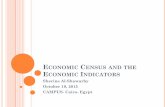 Economic Census and the Economic Indicators - Sherine Al-Shawarby