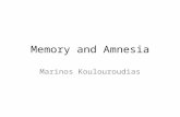 Memory and Amnesia slides